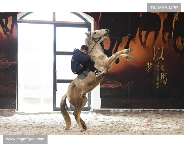 马术装备安全危机 某品牌水勒被检出禁用染料 多国启动召回行动 马术装备安全危机 某品牌水勒被检出禁用染料 多国启动召回行动